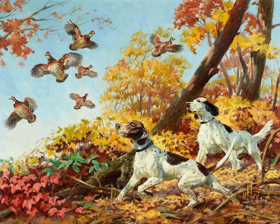 охота с собаками - охота, собаки, осень - оригинал