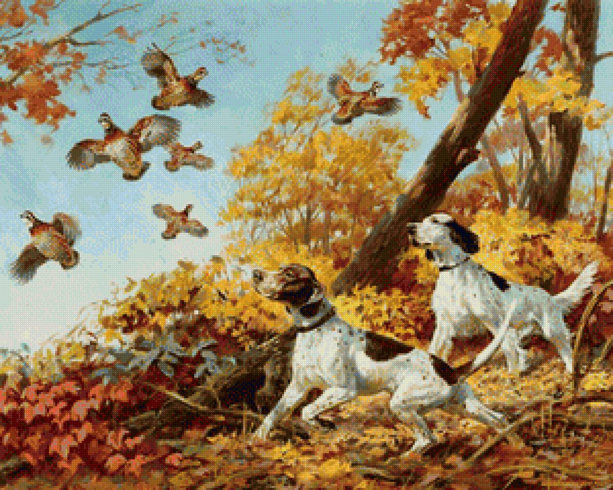 охота с собаками - осень, охота, собаки - предпросмотр