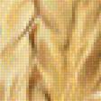 Предпросмотр схемы вышивки «Пшеница» (№1528840)