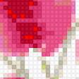Предпросмотр схемы вышивки «heart flowers» (№1528940)