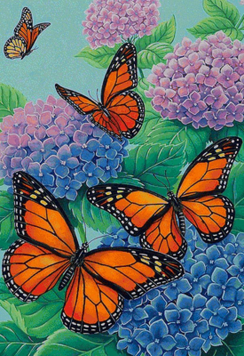 бабочки и цветы - гортензия, голубые цветы, синие цветы, бабочки - предпросмотр