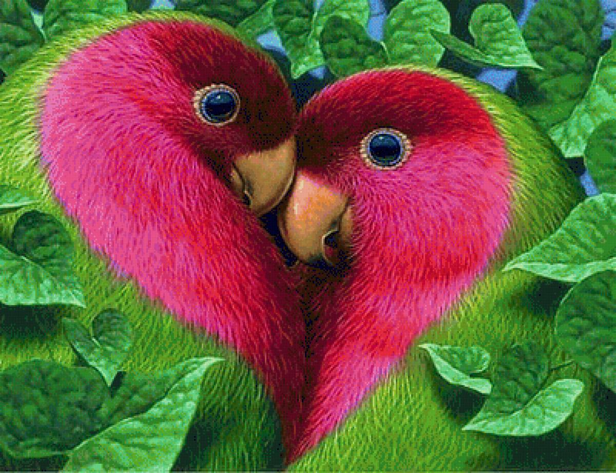 любовь попугаев - попугай, птицы - предпросмотр
