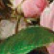 Предпросмотр схемы вышивки «розы» (№1538813)