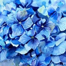 Оригинал схемы вышивки «blue flowers» (№1539563)