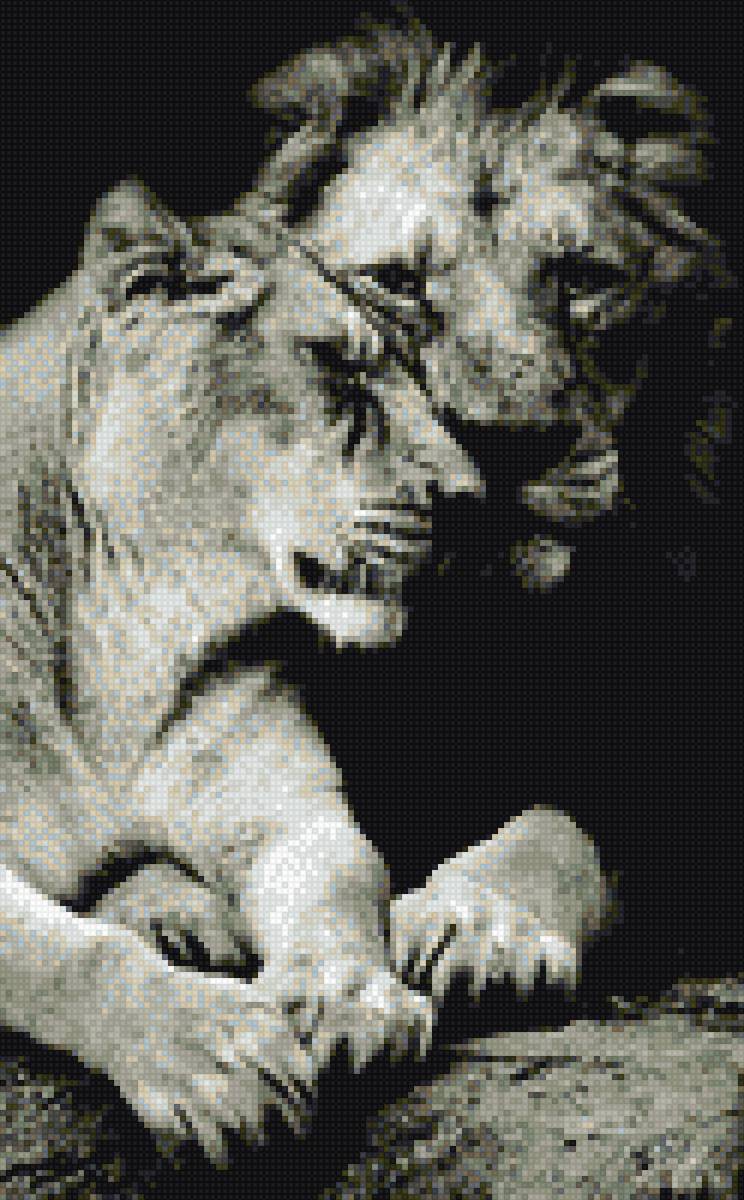 львинная верность - львинная верность, любовь, львица, верность, лев с львицей, лев - предпросмотр