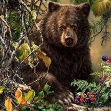 Схема вышивки «Медведь в лесу»