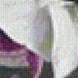 Предпросмотр схемы вышивки «Орхидея» (№1541564)