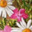 Предпросмотр схемы вышивки «Полевые цветы» (№1542017)