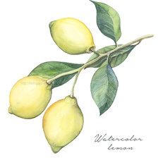Оригинал схемы вышивки «Лимоны» (№1543556)