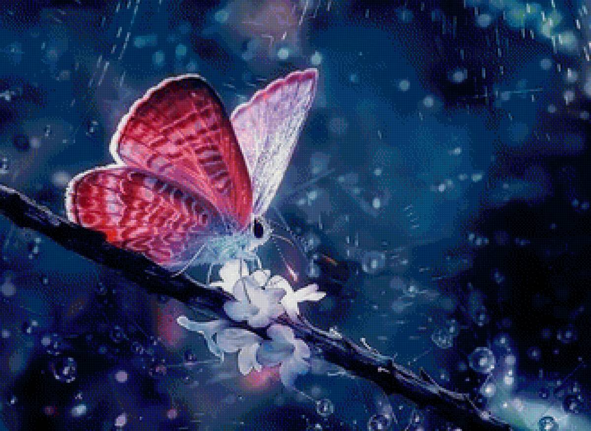 бабочка под дождём - погода, дождь, капля, бабочка, природа, картина, веточка - предпросмотр