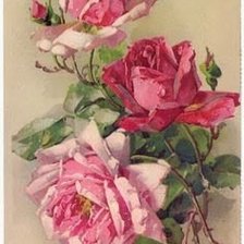 Оригинал схемы вышивки «Розы» (№1544964)