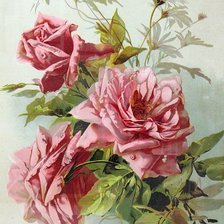 Оригинал схемы вышивки «Розы» (№1545283)