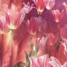 Схема вышивки «tulipany»