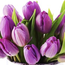 Оригинал схемы вышивки «фиолетовые тюльпаны» (№1550862)