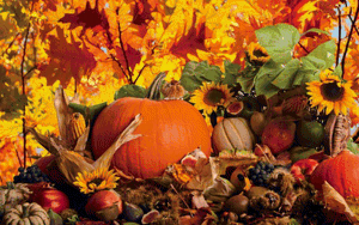 Осенний урожай - осень овощи тыква - предпросмотр