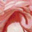 Предпросмотр схемы вышивки «розы» (№1552353)