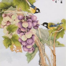 Оригинал схемы вышивки «Спелая гроздь винограда» (№1555757)