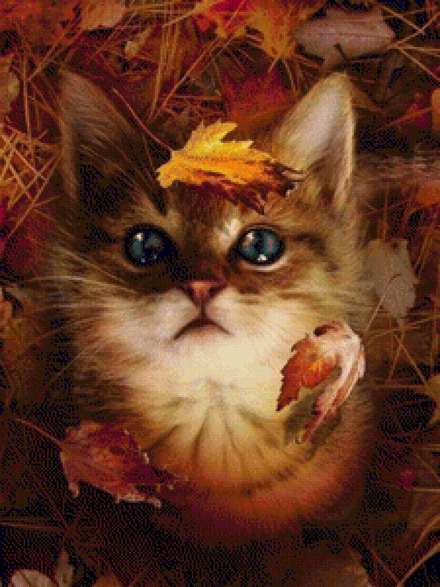 осень - осень, кот, листья, котик - предпросмотр