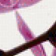 Предпросмотр схемы вышивки «Розовая орхидея. Триптих.» (№1556796)