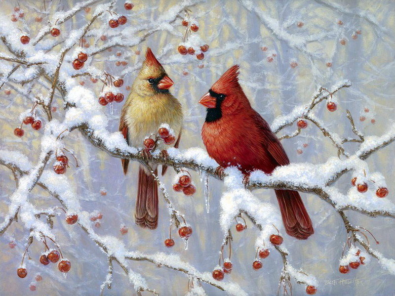 птицы - зима снег - оригинал