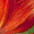 Предпросмотр схемы вышивки «тюльпаны» (№1558523)