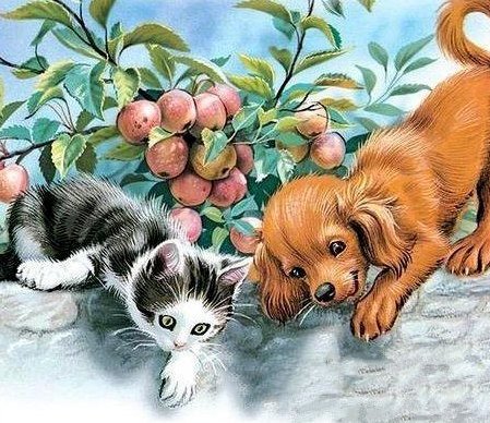 Щенок и котёнок - котенок, домашние животные, щенок - оригинал
