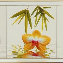 Орхидея. Триптих.