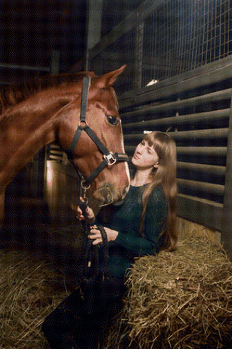 Я и Ника, фото - девушка и лошадь, по фото, лошадь, кони, лошадки - предпросмотр