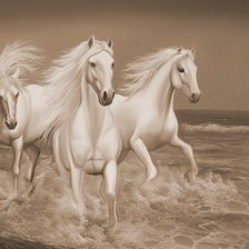 белые лошади