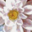 Предпросмотр схемы вышивки «zátišie,kvety» (№1564883)