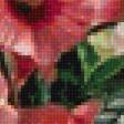 Предпросмотр схемы вышивки «цветы» (№1566351)