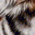 Предпросмотр схемы вышивки «Tygrys - zima» (№1566600)