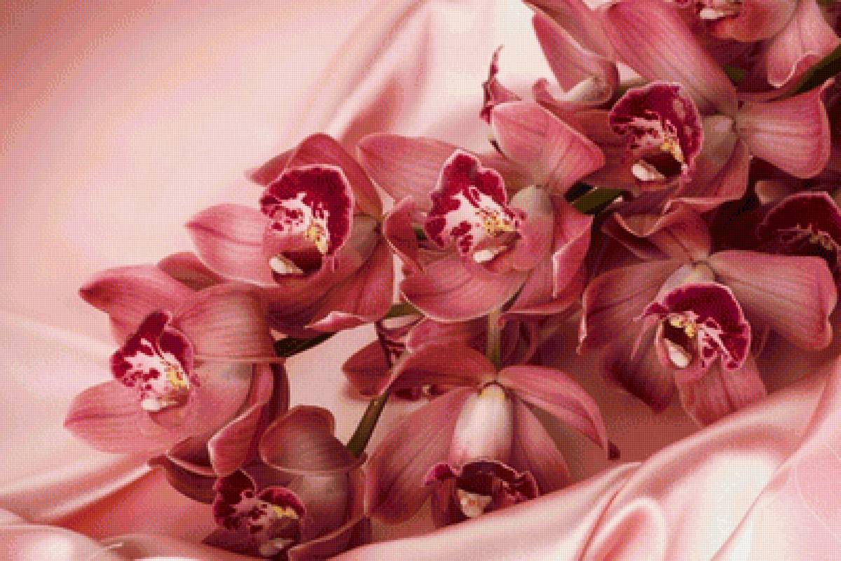 Орхидеи на атласе - орхидеи, цветы - предпросмотр