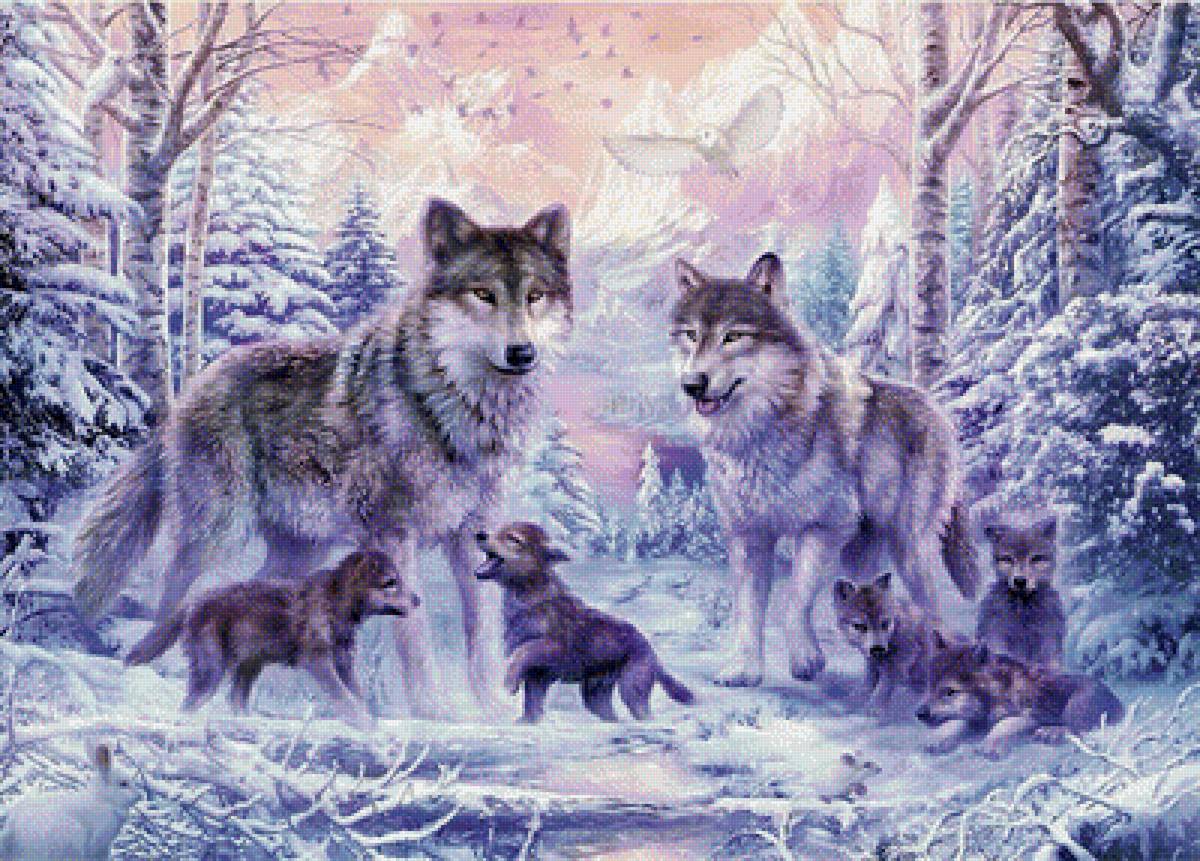 Северные волки - волки, зима, север, стая - предпросмотр