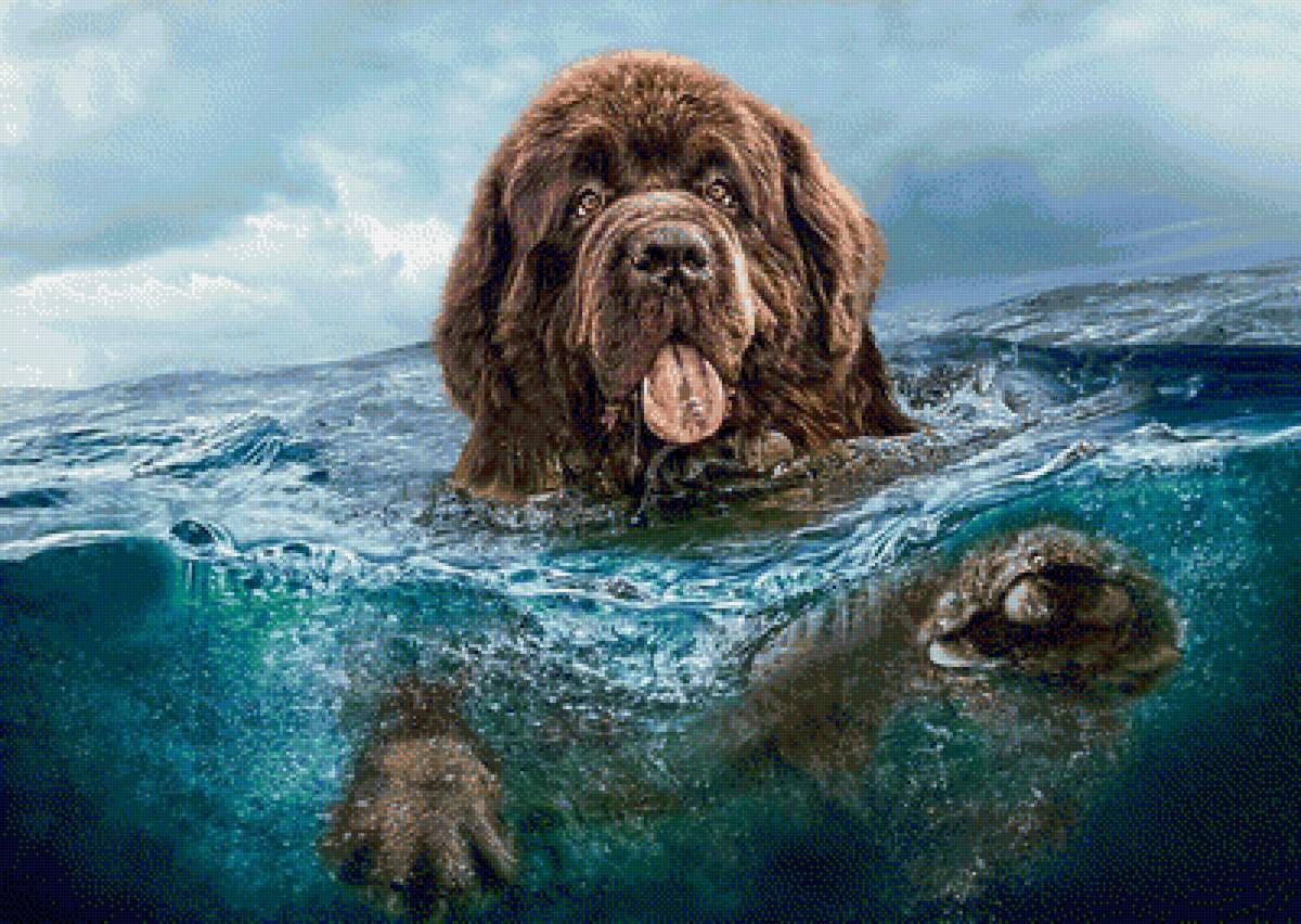 Большой пес - море, пес - предпросмотр