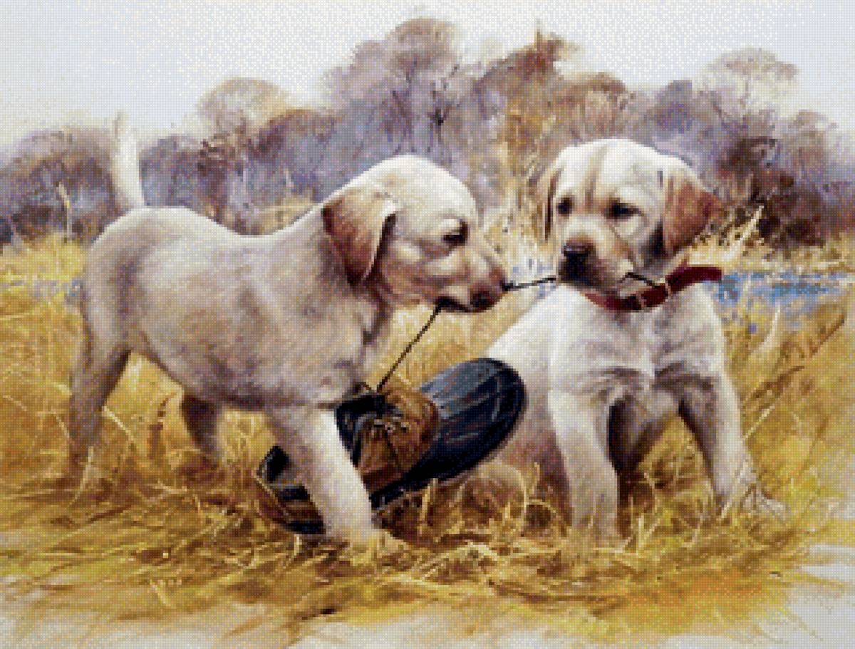 Первая охота - собаки, щенки, животные - предпросмотр