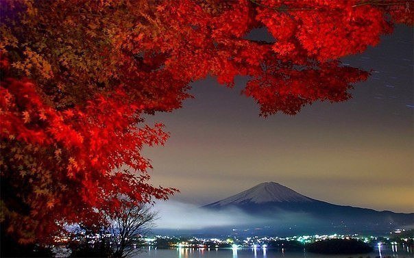 Японский клён - япония, вулкан, осень, горы - оригинал