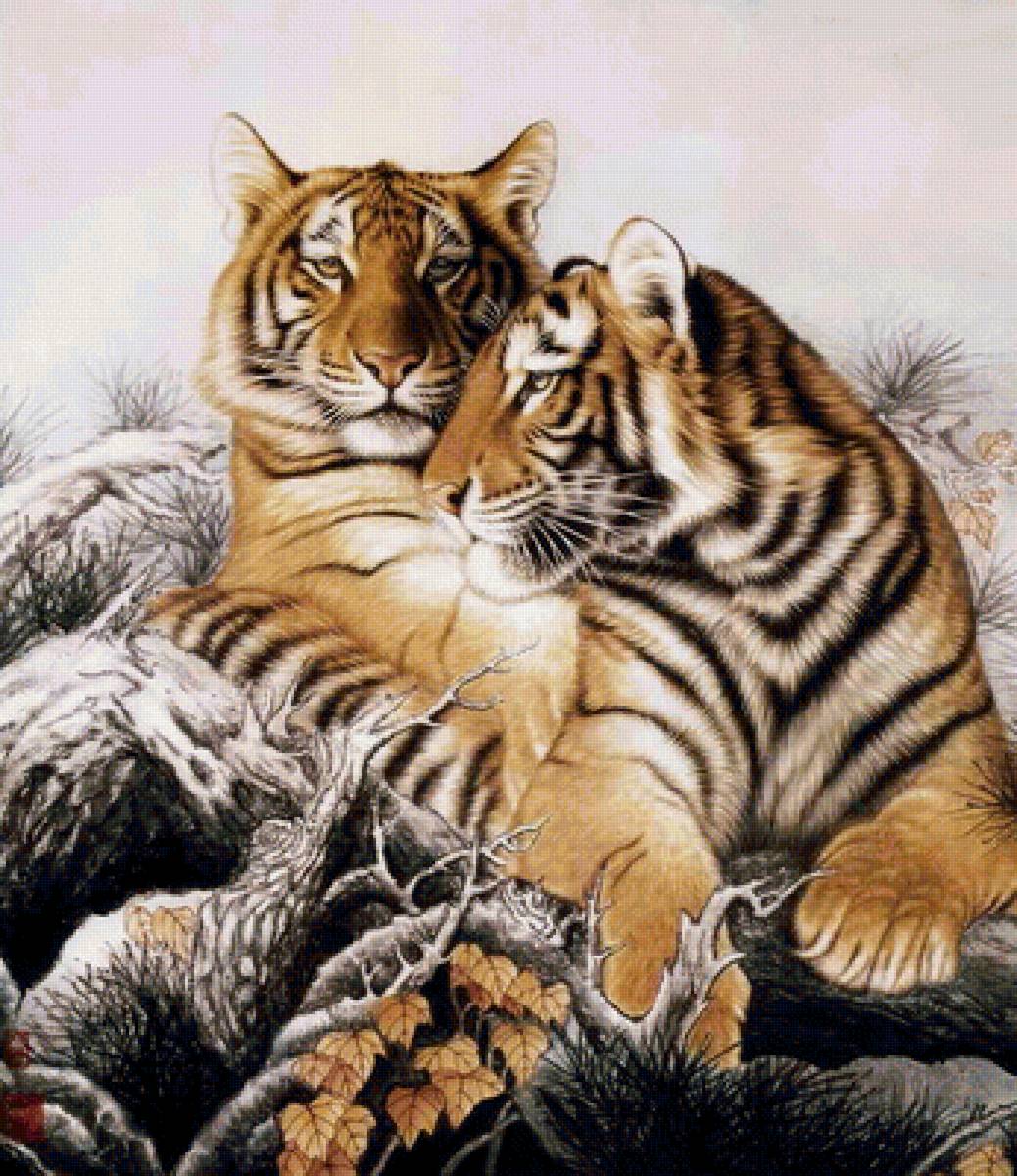 Тигры - животные - предпросмотр