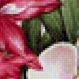 Предпросмотр схемы вышивки «obraz kvety» (№1570956)