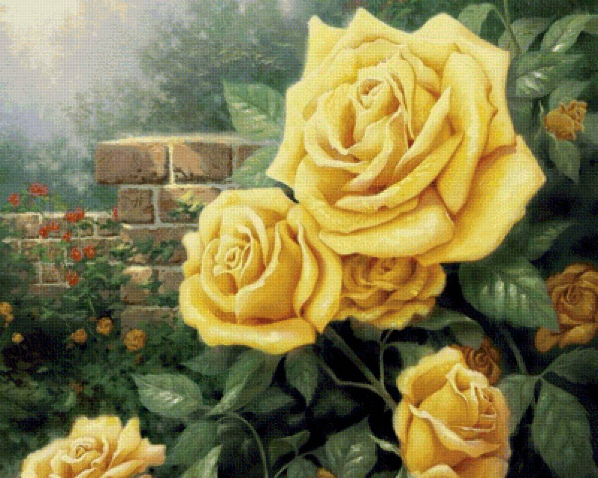 Жёлтые розы - цветы, розы - предпросмотр