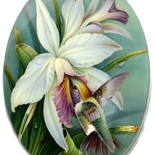 Оригинал схемы вышивки «orchidea,kolibrík» (№1572807)