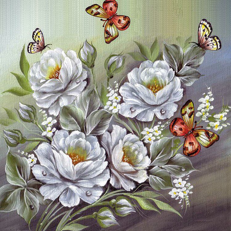 белые цветы - цветы, бабочки - оригинал