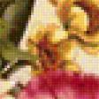 Предпросмотр схемы вышивки «krásne kvety» (№1577801)