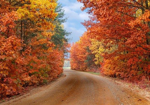 Осенняя дорога - пейзаж, осень, лес - оригинал
