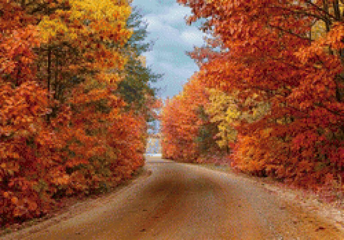 Осенняя дорога - пейзаж, лес, осень - предпросмотр
