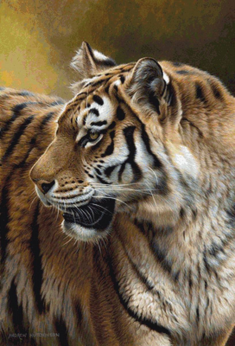 Тигр - кошки, животные, природа - предпросмотр