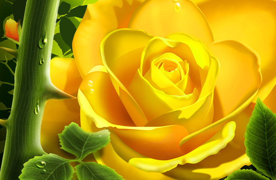 Желтая роза - роза, желтый - оригинал
