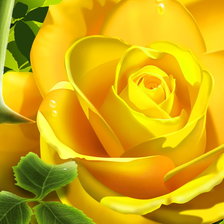 Оригинал схемы вышивки «Желтая роза» (№1582434)