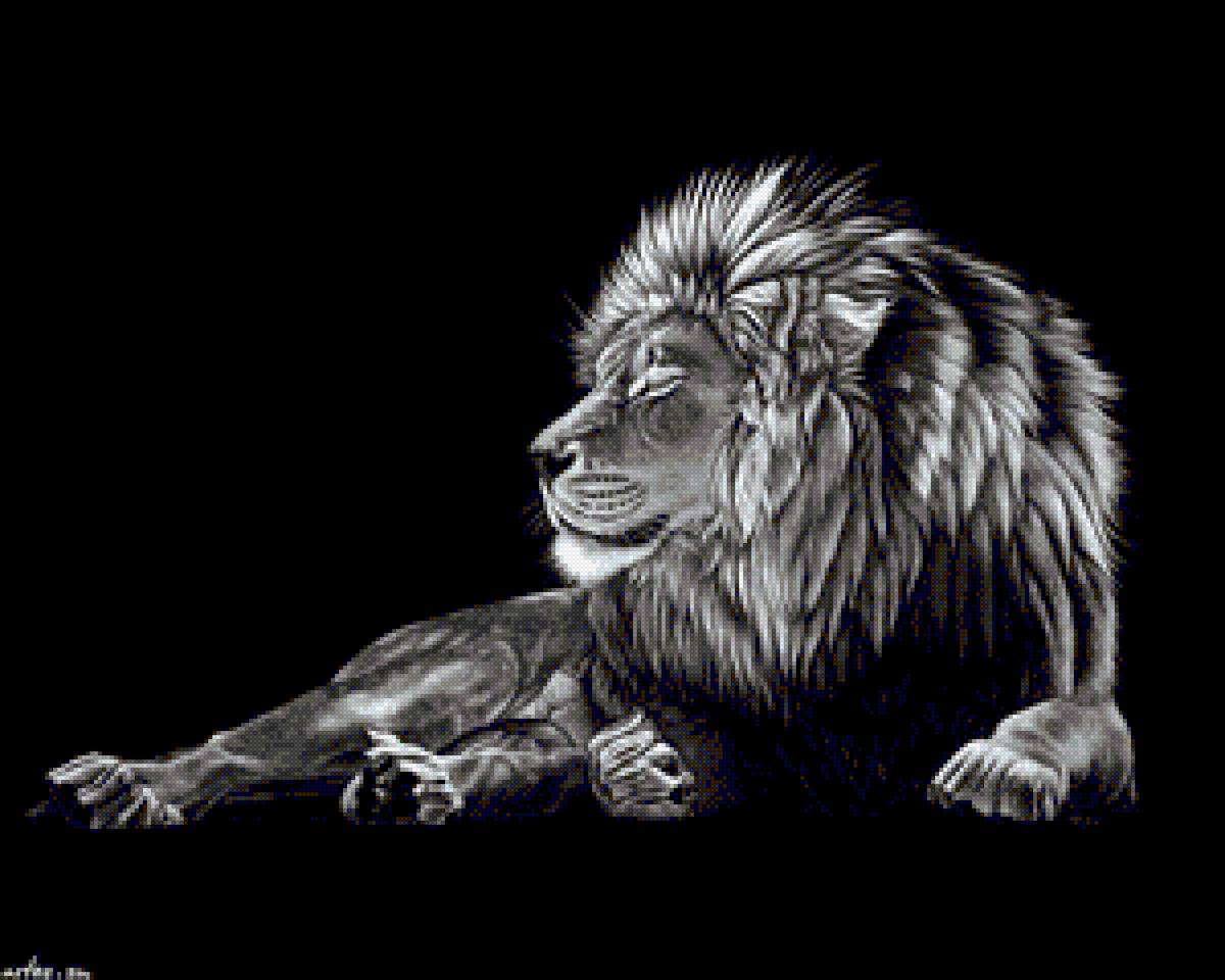 Lion - animals, lion - предпросмотр