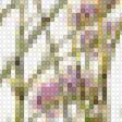 Предпросмотр схемы вышивки «Полевые цветы» (№1584429)